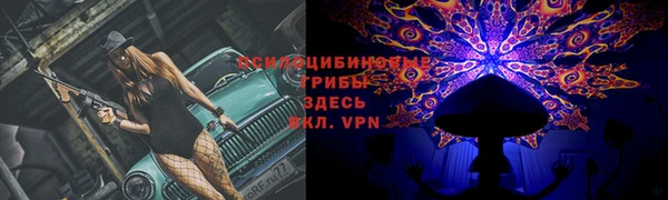 кокаин перу Богданович