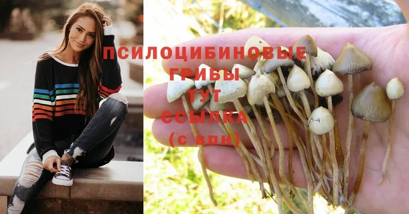 Псилоцибиновые грибы Psilocybine cubensis  MEGA рабочий сайт  Нарьян-Мар  где продают наркотики 